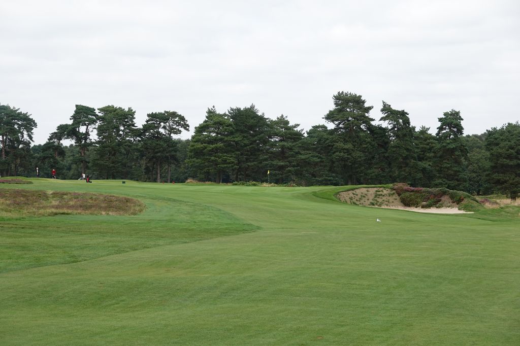 16th Hole at Walton Heath Golf Club (Old) (535 Yard Par 5)